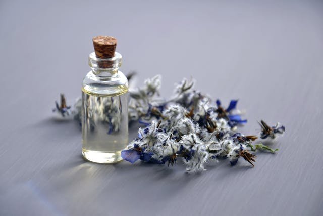 Fragrance Oil Set